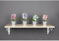 Iris E5679 Orchidea dekoráció művirággal cserépben 6x17cm kép