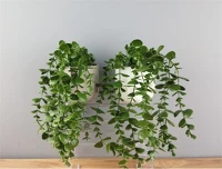 Iris E5810 Dekoráció művirággal cserépben 16x26cm kép