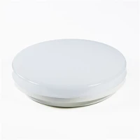 Iris ILL330-36W-4000K Kerek led kültéri mennyezeti lámpa 330 mm, 36w, 4000k kép