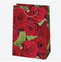 Iris T9_OG Ajándéktasak, különböző színekben és mintákkal, 290x400x120 mm kép