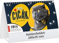 Kalendart 25T585P-00P 2025 t058 cicák álló asztali naptár kép