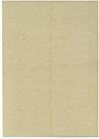 Karton 01_00201ROB Dekorációs  50x70 cm 2 oldalas 200 g ezüst kép