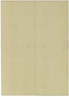 Karton VEC01_00201 Dekorációs  50x70 cm 2 oldalas 200 g ezüst kép