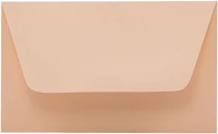 Kaskad 01.00518 Névjegyboríték színes  enyvezett 70x105mm 31 lazac 50 darabos kép