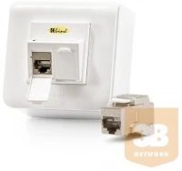 Keline 601120-AP-KEJ-C6A-S-10G-2 601120-AP + KEJ-C6A-S-10G(2) Modulo45 falon kívüli aljzat, Kategória 6A kép