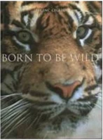 Konyv NATBORNTOBEW Born to be wild könyv kép