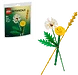 Lego® 30701 Botanicals mezei virágok (30701) kép