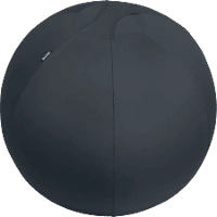 Leitz 65420089 Active ülőlabda nehezékkel 65cm, sötétszürke kép