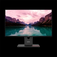 Lenovo 64A4MATXEU Lenovo monitor - thinkvision t24-40; 23,8