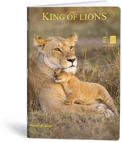 Lipamill 01.08278 Füzet kockás  a/4 40 lapos king of lions kép