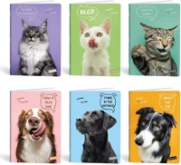 Lipamill 1211638884 Füzet kockás a/4 40 lapos pets kép