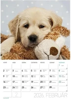 Lizzy card 23.09435 Falinaptár  a/4 álló kutyák 2026. kép