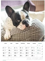 Lizzy card 23.09453 Falinaptár spirálozott   b/4 álló kutyák 2026. kép