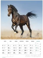 Lizzy card 23.09454 Falinaptár spirálozott   b/4 álló lovak 2026. kép