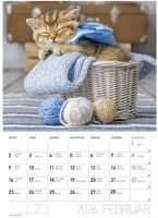 Lizzy card 23.09460 Falinaptár  a/4 álló cicák 2026. kép