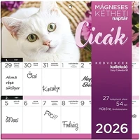 Lizzy card 23.09469 Falinaptár mágneses  220x220mm 2 hetes cicák 2026. kép