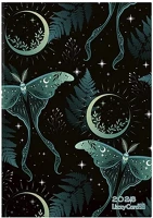 Lizzy card 23.0957502 Határidőnapló  b/6 napi keménytáblás moth and moon 2026. kép