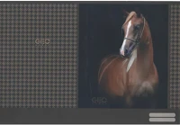 Lizzy card 526994ROB Füzetborító a/4 papírbetétes 420x290 mm geo horse kép