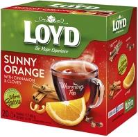 Loyd VEC14_02870 Gyümölcstea  piramis hot narancs-fahéj 20x2 g kép