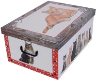 Miss space 7015 Tárolódoboz  maxi 51x37x24 cm cica piros kép