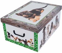 Miss space 7036 Tárolódoboz  maxi 51x37x24 cm kutya zöld kép