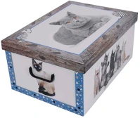 Miss space 7037 Tárolódoboz  maxi 51x37x24 cm cica kék kép