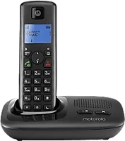 <span itemprop='brand'>Motorola</span> <span itemprop='sku'>t411</span>