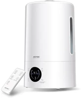 Mpm MNP-04 Párásító kép