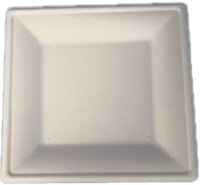 Natúr 15307 Szögletes eldobható papírtányér  komp cukornád lebomló 20x20 cm kép