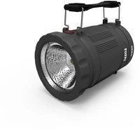 Nebo NEB-LTN-6555-G Poppy, 300 lm, lámpás és reflektor, 3 funkció, dimmerelhető kép