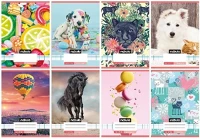 Nebuló 01.08083 Füzet kockás  a/5 32 lapos 27-32 cuki 16 darabos kép