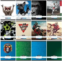 Nebuló 01.08085 Füzet kockás  a/4 32 lapos 87-32 xtreme 12 darabos kép