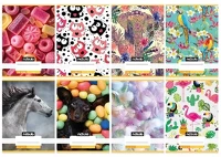 Nebuló 01.08093 Füzet sima  a/5 32 lapos 20-32 cuki 16 darabos kép