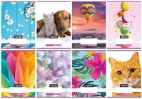 Nebuló 01.08105 Füzet vonalas  a/5 32 lapos 21-32 4-8. osztályos cuki i. 16 darabos kép