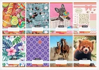 Nebuló 01.08548 Füzet kockás  a/5 32 lapos 27-32 cuki ii. 16 darabos kép