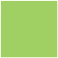 Noname 3162 Kreatív textil filc a/4 1 mm világoszöld kép