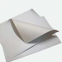 Noname 716061144/777346319 Triplex lemez 70x100 cm 550g szürke kép