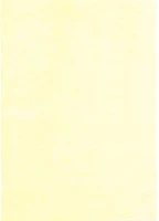 Noname PPP1020-2434 Névjegykártya karton a/4 250g víz sárga kép