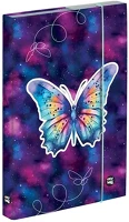 Oxy 15.18624 Füzetbox  a/4 butterfly kép