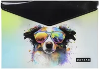 Oxy 8-96526 Irattasak patentos a/4 dog kép