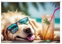 Panta plast COR_INP0410006353 Irattartó tasak, a4, pp, cipzáras, 180 mikron,  