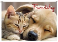 Panta plast COR_INP0410006355 Irattartó tasak, a4, pp, cipzáras, 180 mikron,  