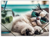 Panta plast COR_INP0410006454 Gumis mappa, 15 mm, pp, a4,  