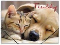 Panta plast COR_INP0410006455 Gumis mappa, 15 mm, pp, a4,  