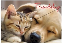 Panta plast INP0410006255 Irattartó tasak, a4 pp, patentos, 180 mikron,  