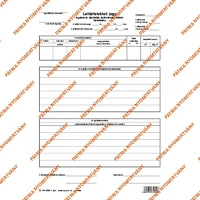 Pátria PATB_14-10_A Leltárfelvételi jegy ingatlanok felvétele szabadlap a/4 álló kép