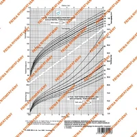 Pátria PATC_3341-46_C Fejlődési lap 0-10 éves korig (fiú) a/4 álló kép