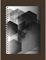 Pátria P1112-0529 Pd colorido a4, 200 lap, vonalas spirálfüzet kép