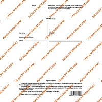 Pátria PATC_SZABS_95 Válaszlap pénzbírság postai befizetésére szabadlap a/5 álló kép
