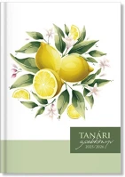 Pd PPP4114-3066 Tanári zsebkönyv pd 2025-2026 papír lemon kép